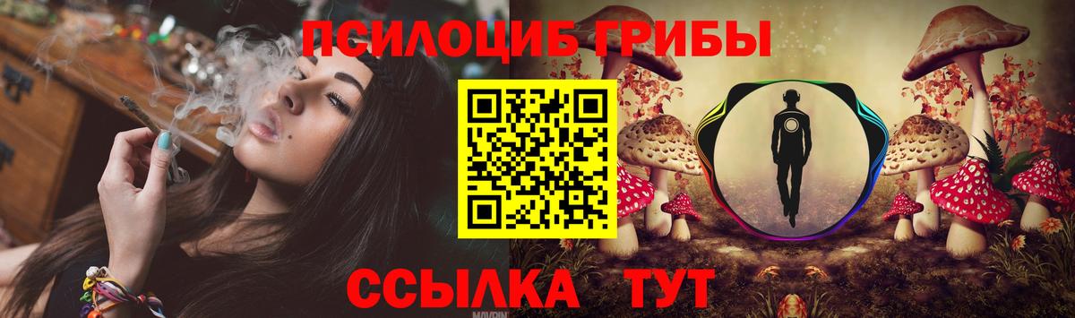 Галлюциногенные грибы GOLDEN TEACHER Рославль